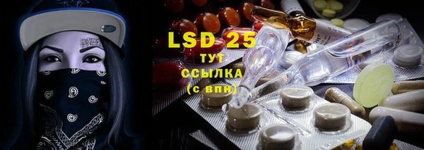 индика Инта