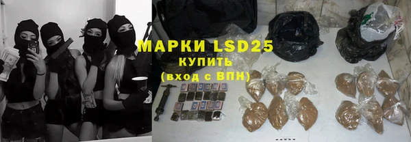гидра Инсар