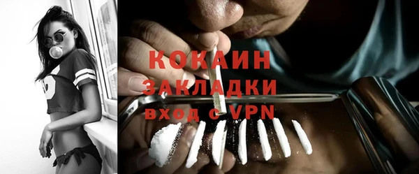 индика Инта