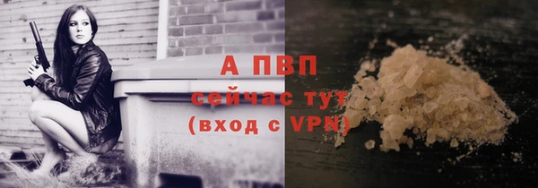 индика Инта