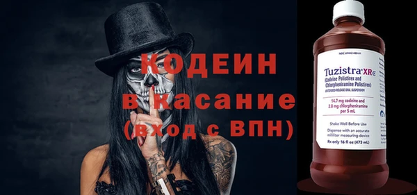 гидра Инсар