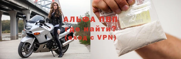 гидра Инсар