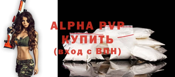 индика Инта