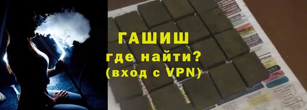 индика Инта