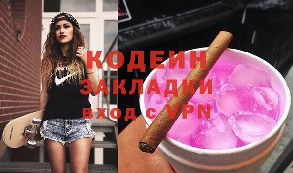 индика Инта