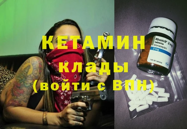 индика Инта