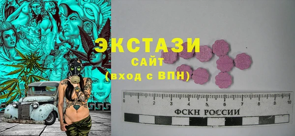 индика Инта