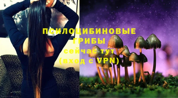 таблы Каменногорск