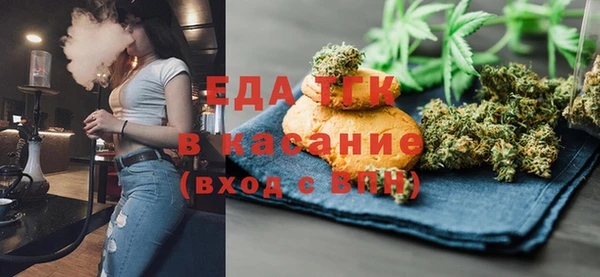 индика Инта