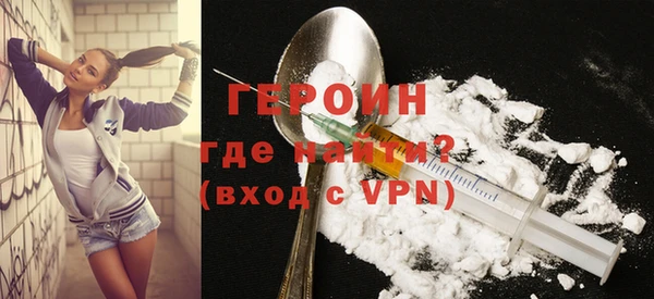 индика Инта