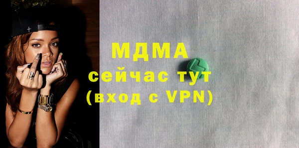 индика Инта