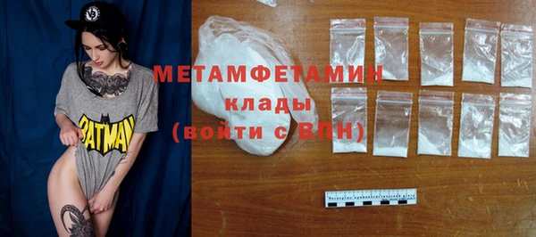 индика Инта
