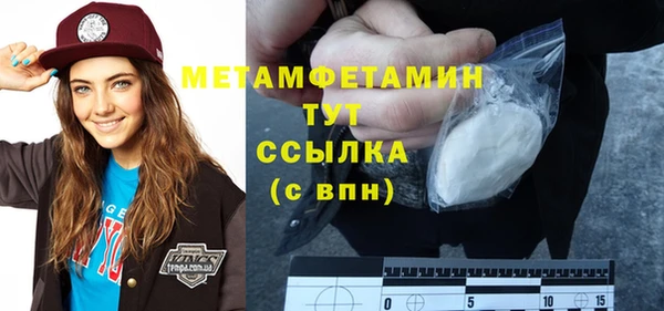 гидра Инсар