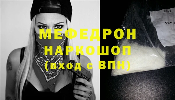 индика Инта