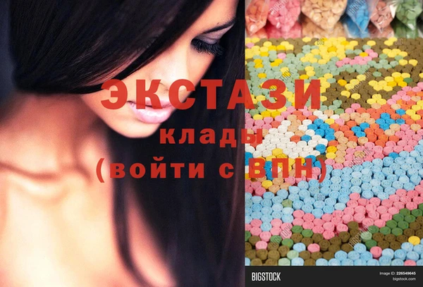 индика Инта