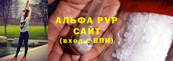 индика Инта