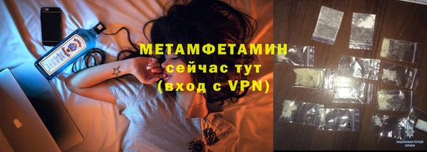 индика Инта