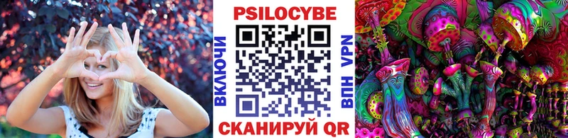 что такое   Мураши  Галлюциногенные грибы Psilocybe 